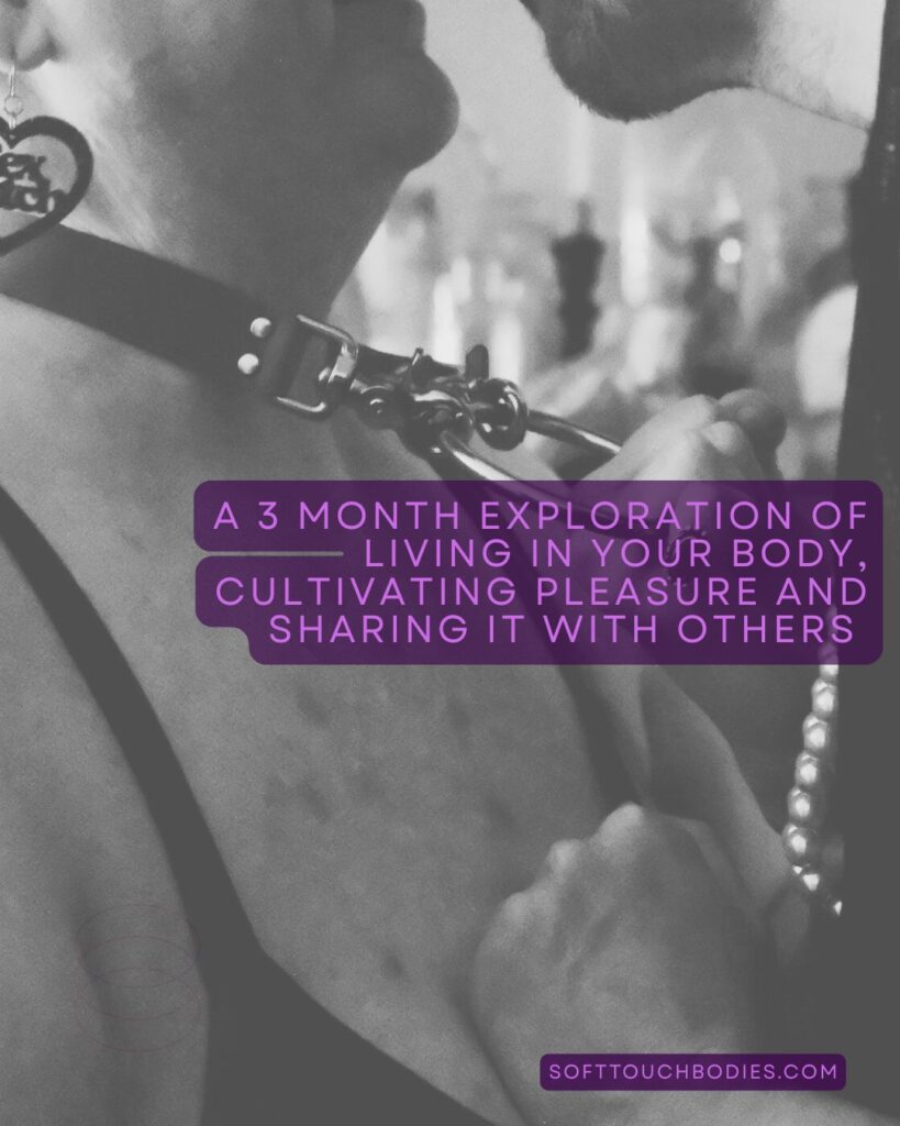 leather, pearls, skin, embrace, control, surrender a 3 month self guided online course to support embodiment and pleasure